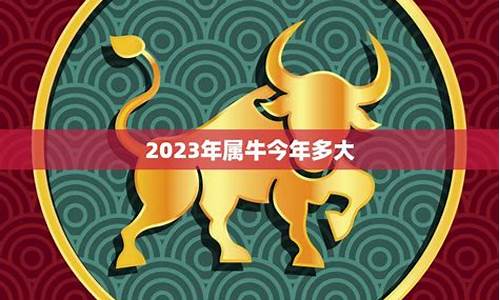 2023属牛人全年运势-2023年属牛人的幸运颜色