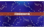 金牛座的太阳星座查询-金牛座的太阳星座是什么星座查询