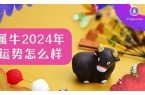 属猪比属牛大几岁-2024年属牛的今年多大