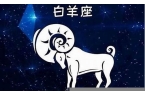 白羊座男和什么星座最配排行-白