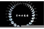 阴历二月初五是什么星座的-阴历