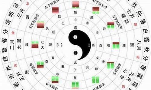 十二生肖五行金木水火土数字-十二生肖金木水火土属性